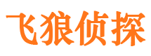 通榆市私家侦探